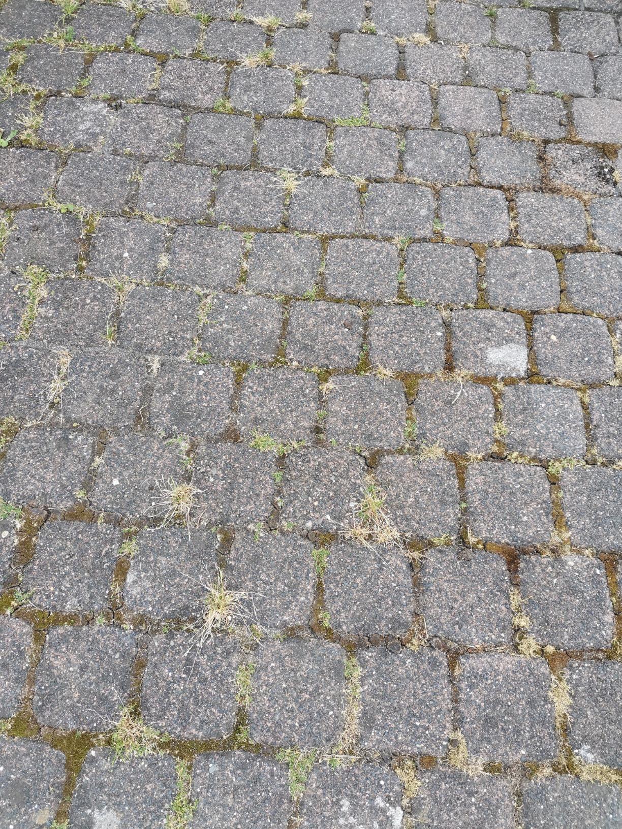 Moos weg