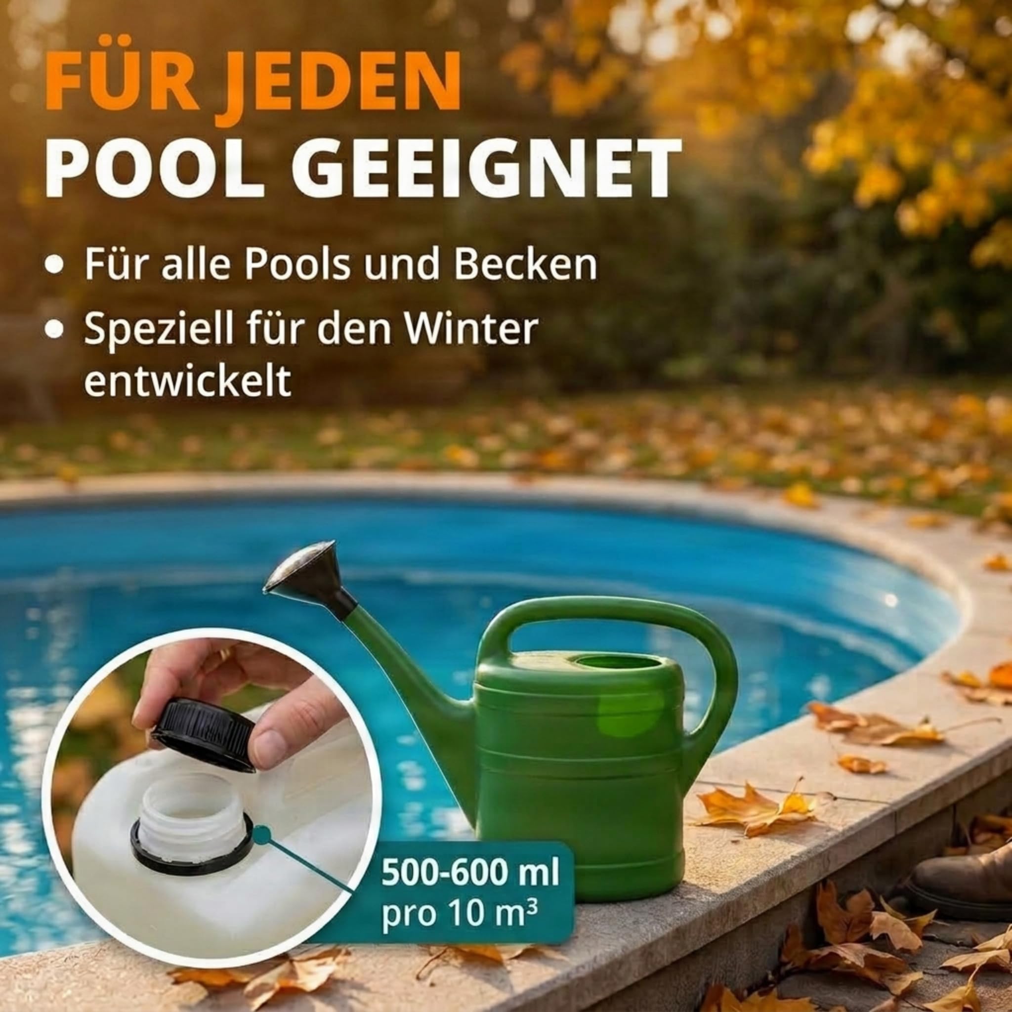 inox-desinfektion-pool-wintermittel-5l-algizid image 4