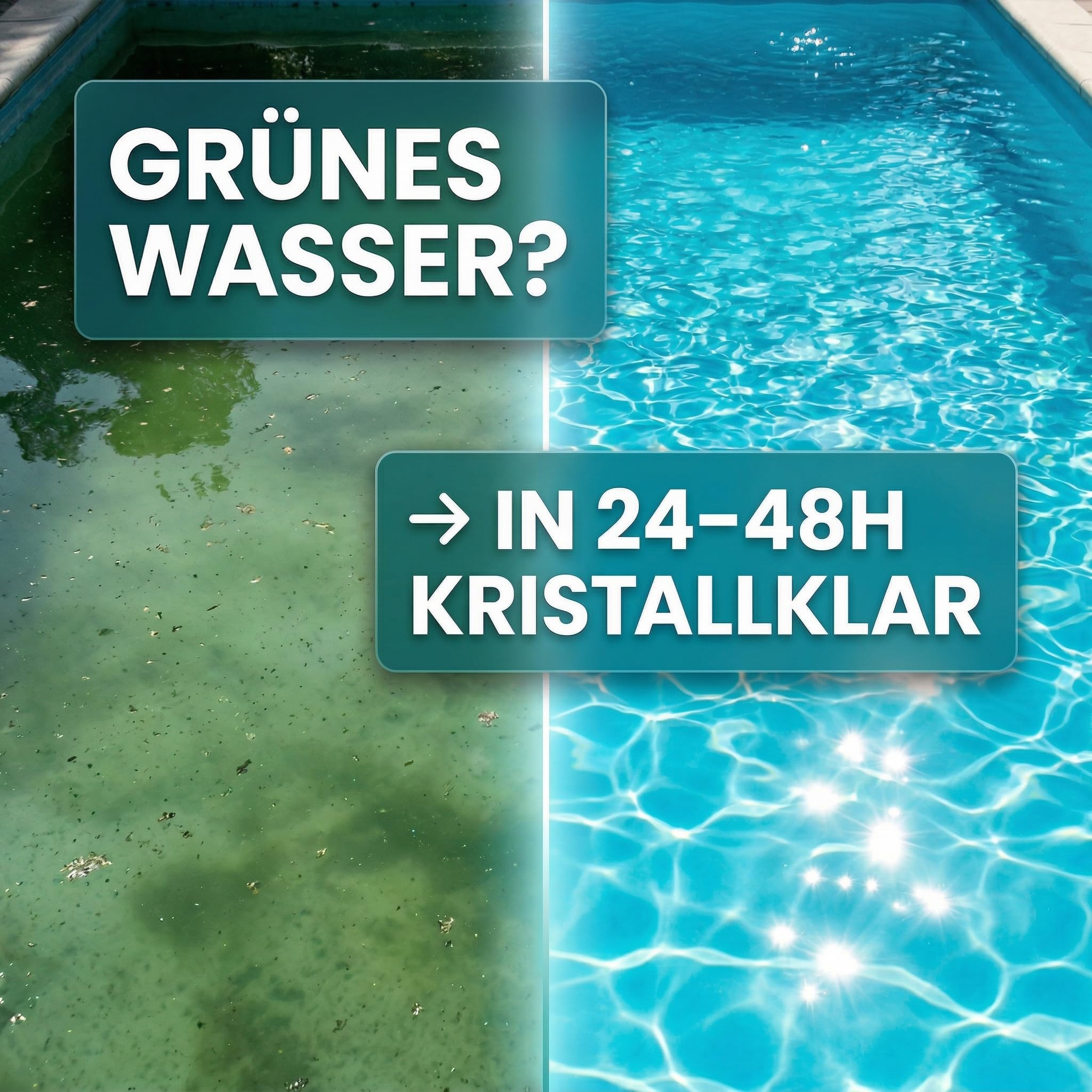 inox-algizid-pool-algenvernichter-fl-ssig-2x10l image 4